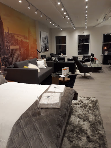 Furniture Store «Modani Furniture», reviews and photos, 40 E 19th St, New York, NY 10003, USA