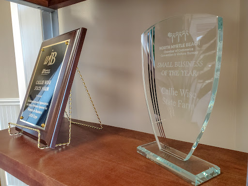 Insurance Agency «Callie Wise - State Farm Insurance Agent», reviews and photos