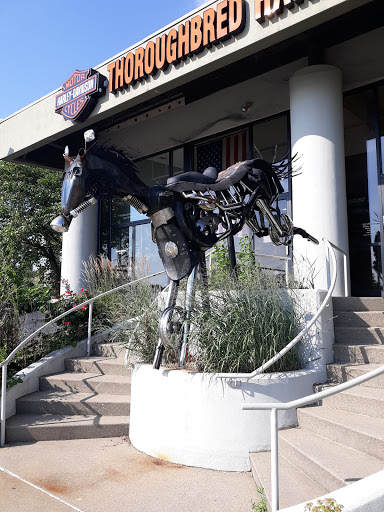 Harley-Davidson Dealer «Thoroughbred Harley-Davidson», reviews and photos, 8025 Action Blvd, Florence, KY 41042, USA