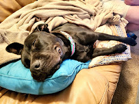 Camp Cheeney Creek - Photo 7 - Car repair in Fishers, IN, Indianapolis