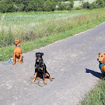 Photo n°4 de l'avis de Conner.o fait le 12/06/2022 à 21:35 sur le  Hotel Rhönhof à Hünfeld