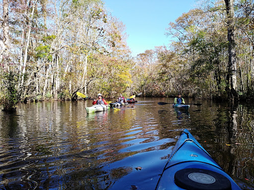 National Forest «Francis Marion National Forest», reviews and photos, 2967 Steed Creek Rd, Huger, SC 29450, USA