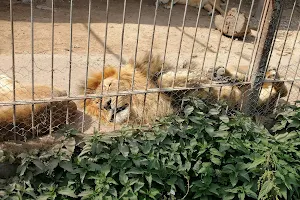Zoo Center image