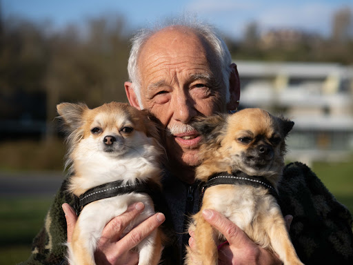 Kleintierpraxis Koch unter Remchingen, Baden Württemberg