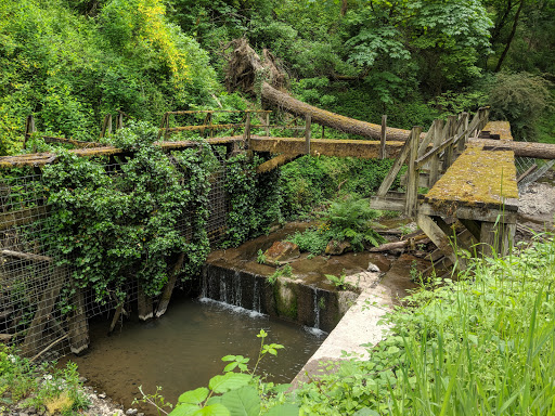 Park «Macleay Park», reviews and photos, NW 29th Ave & Upshur St, Portland, OR 97210, USA