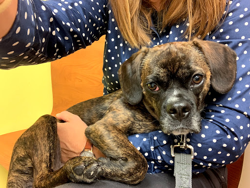 Pet Supply Store «PetSmart», reviews and photos, 8460 Tamarack Village, Woodbury, MN 55125, USA