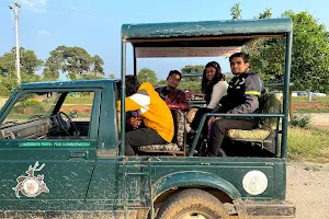 Bandipur Tiger Safari image