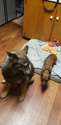 Pet Supply Store «Petco Animal Supplies», reviews and photos, 20825 I-30, Benton, AR 72015, USA