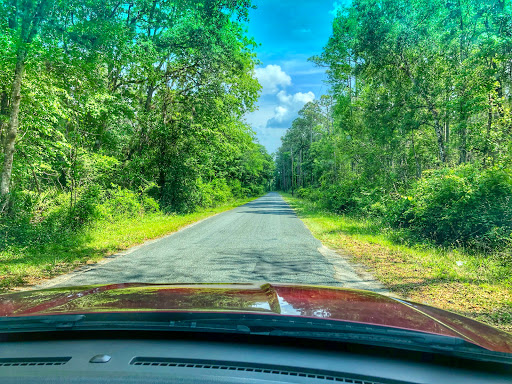 General Store «Richloam General Store», reviews and photos, 38215 Richloam Clay Sink Rd, Webster, FL 33597, USA