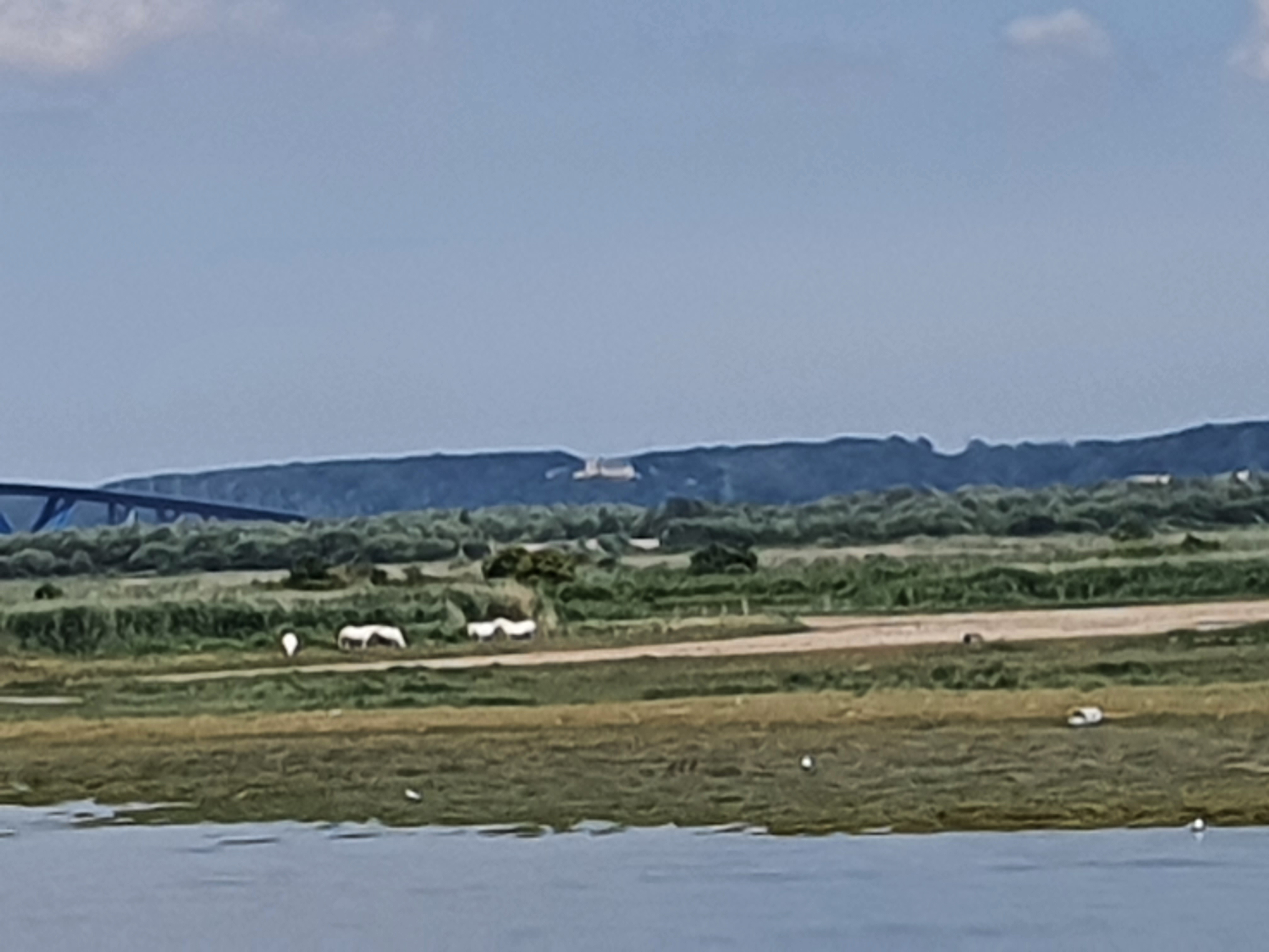 Photo n° 2 de l'avis de malek.o fait le 12/08/2022 à 22:48