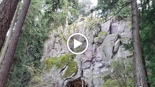 Place of Worship «The Grotto», reviews and photos, 8840 NE Skidmore St, Portland, OR 97220, USA