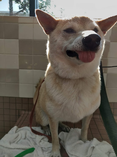 Pet Supply Store «Pet Food Express», reviews and photos, 320 S Lake Ave, Pasadena, CA 91101, USA