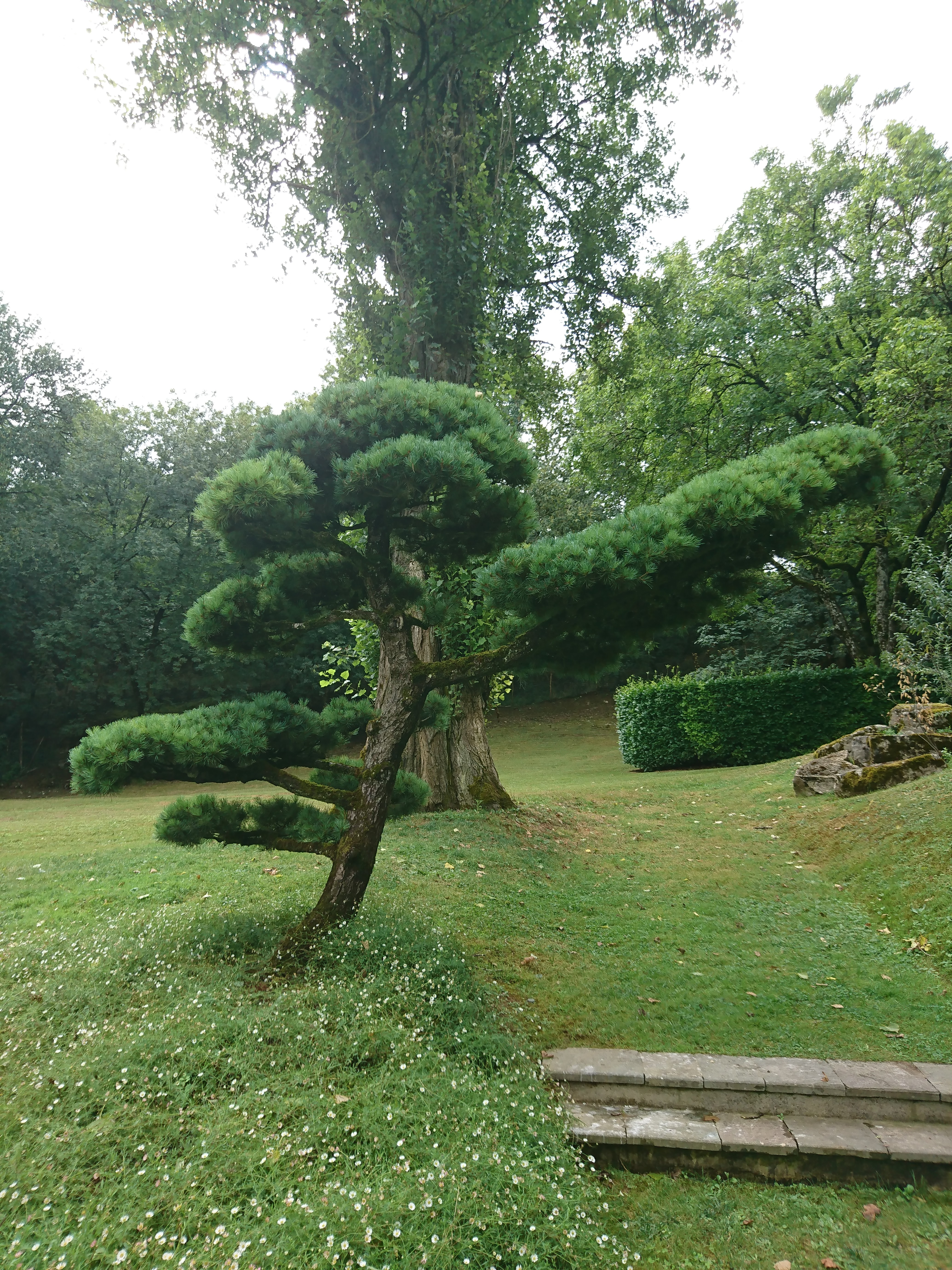 Photo n° 12 de l'avis de Aurore.e fait le 14/08/2018 à 10:59