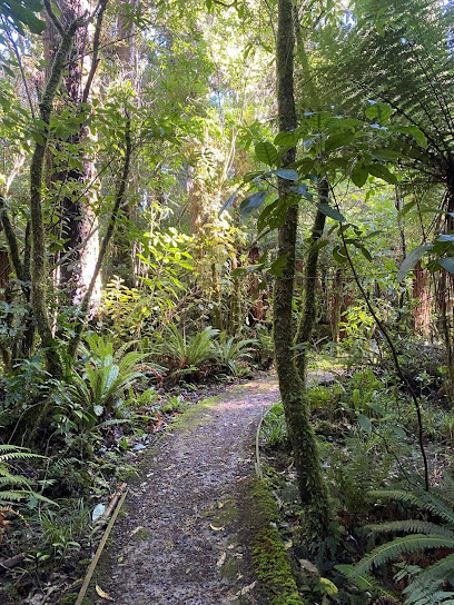 Mangawhero Forest Walk