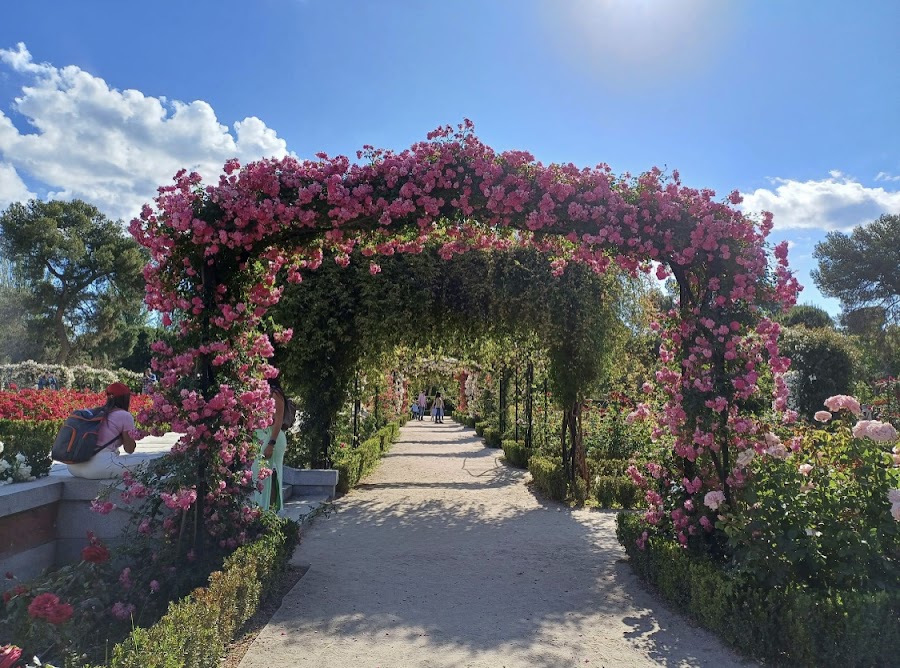 La Rosaleda (Cecilio Rodríguez)