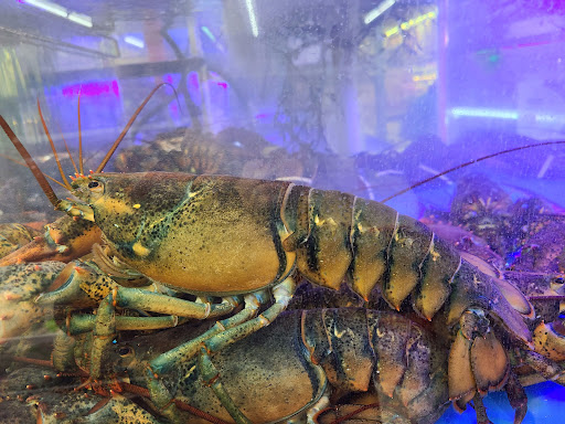 Asian Grocery Store «Kim Son Asian Food Market», reviews and photos, 960 E Pawnee St, Wichita, KS 67211, USA