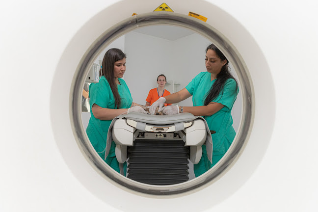 Veterinário Urgências 24H - Hospital