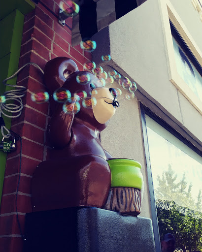 Toy Store «Toy Store», reviews and photos, 936 Massachusetts St, Lawrence, KS 66044, USA