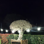 Photo n°4 de l'avis de Andrea.a fait le 03/04/2024 à 20:45 sur le  Ristorante Pizzeria La Tavolaccia à Forlì