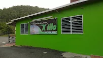 Nutricion con Xtilo - Car repair in Toa Alta, Naranjito, Puerto Rico, Bayamón - Rated 4.8/5
