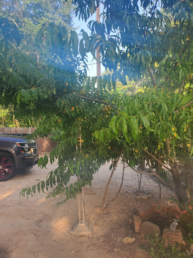 Park «Antonio Maceo Park», reviews and photos, 5135 NW 7th St, Miami, FL 33126, USA