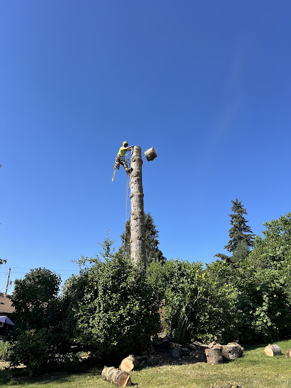Samsara Tree Care