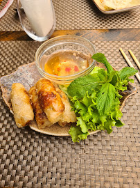 Rouleau de printemps du Restaurant asiatique Shasha Thaï Grill à Noisy-le-Grand - n°9