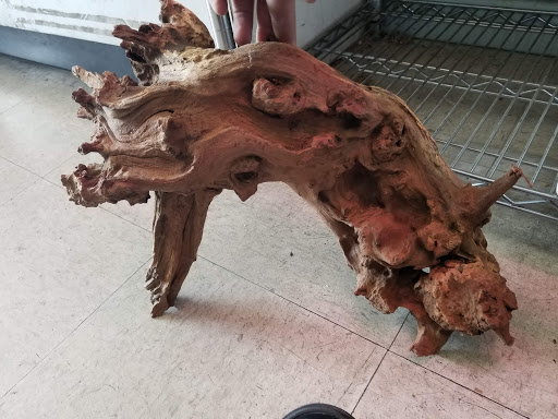 Pet Store «D D Fish & Pets», reviews and photos, 2413 S Fairview St, Santa Ana, CA 92704, USA