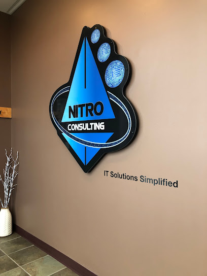 Nitro Consulting Inc.