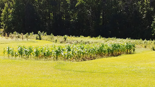 Historical Landmark «Duke Homestead», reviews and photos, 2828 Duke Homestead Rd, Durham, NC 27705, USA