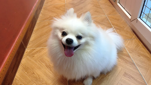 Top 20 cửa hàng kim yến Quận Ba Đình Hà Nội 2022