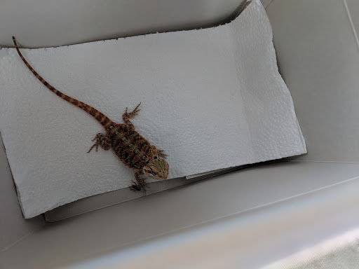 Grocery Store «Stop & Shop», reviews and photos, 154 Westchester Ave, White Plains, NY 10604, USA