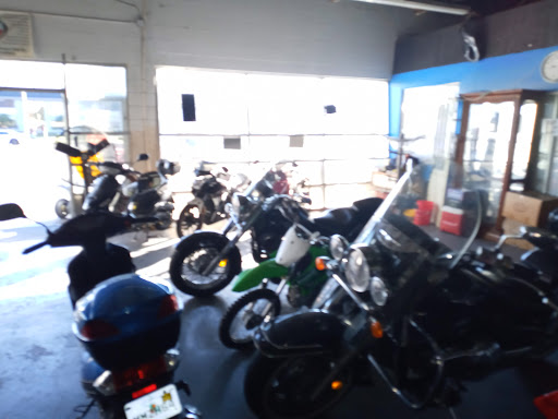 Motor Scooter Dealer «House Cycle World», reviews and photos, 7822 N Dale Mabry Hwy, Tampa, FL 33614, USA