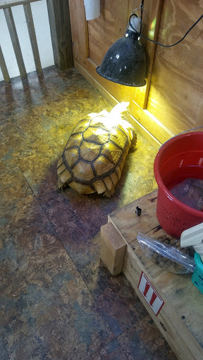 Pet Store «Pet Land», reviews and photos, 1450 Fort Campbell Blvd, Clarksville, TN 37042, USA