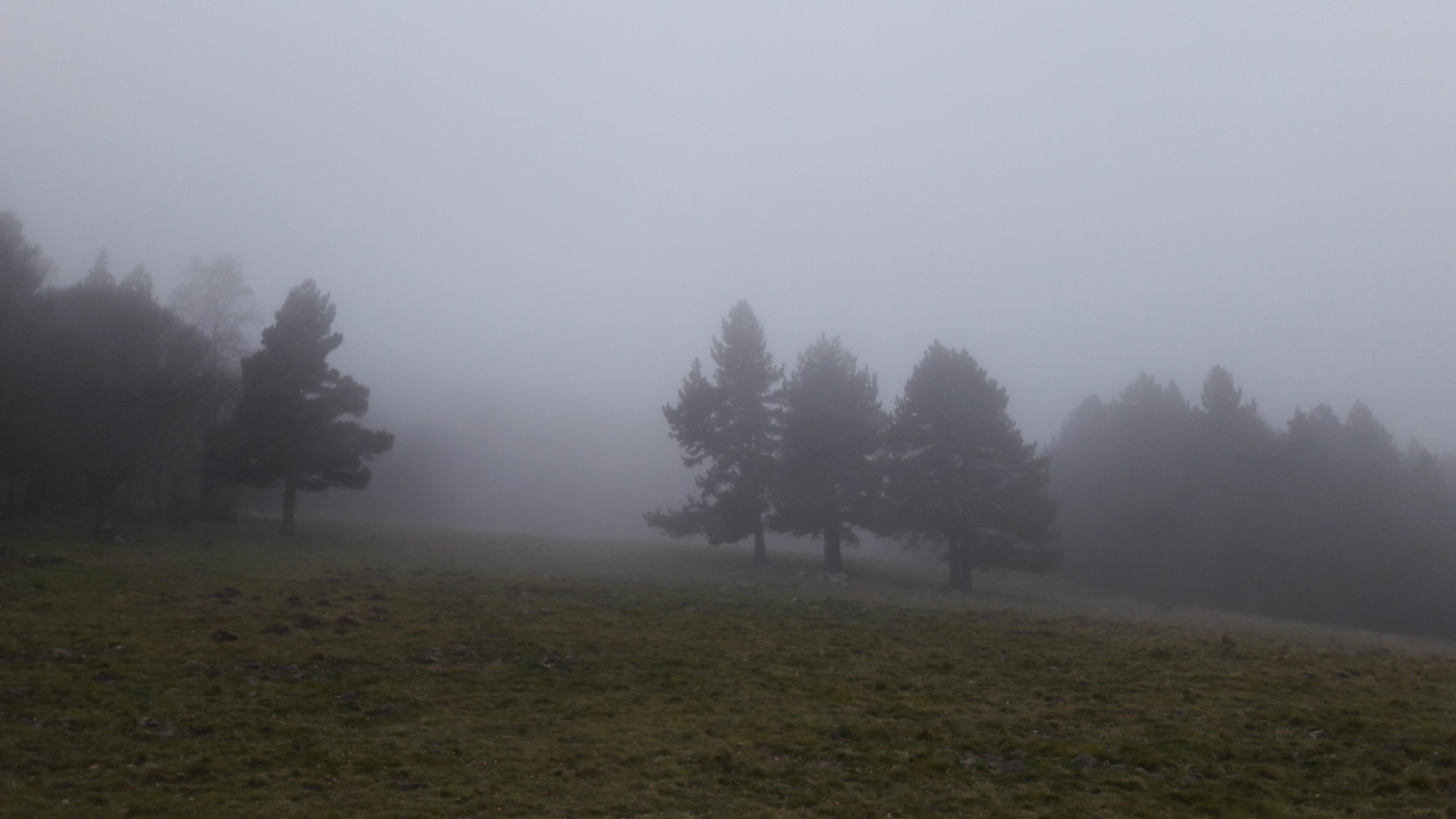 Photo n° 7 de l'avis de Pierre.e fait le 13/11/2018 à 17:49