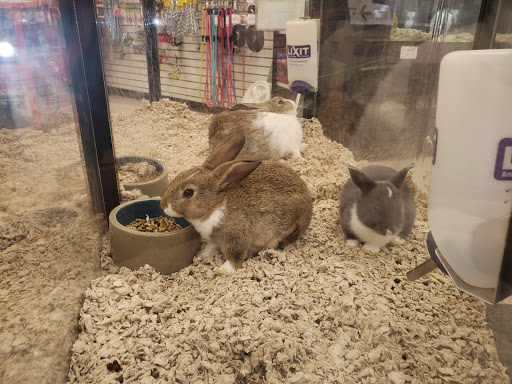 Pet Store «Back To Nature Pets & Grooming», reviews and photos, 110 N Dupont Hwy, New Castle, DE 19720, USA