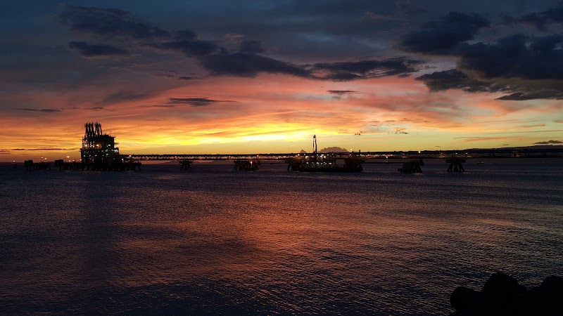 西濃運輸 株 堺支店 大阪府堺市西区築港新町 運送会社 グルコミ