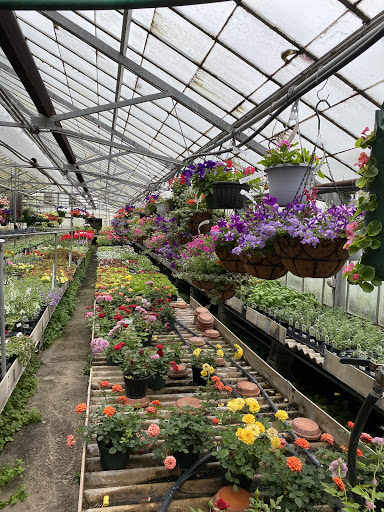 Florist «Swan Floral & Gift Shop», reviews and photos, 4311 Dixie Hwy, Erlanger, KY 41018, USA