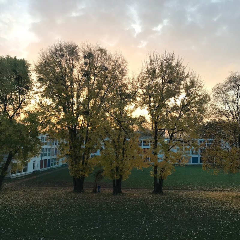 Wirtschaftsgymnasium und Wirtschaftsmittelschule Basel