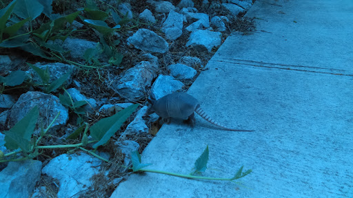 Park «Medina River Natural Area», reviews and photos, 15890 Highway 16 South, San Antonio, TX 78264, USA