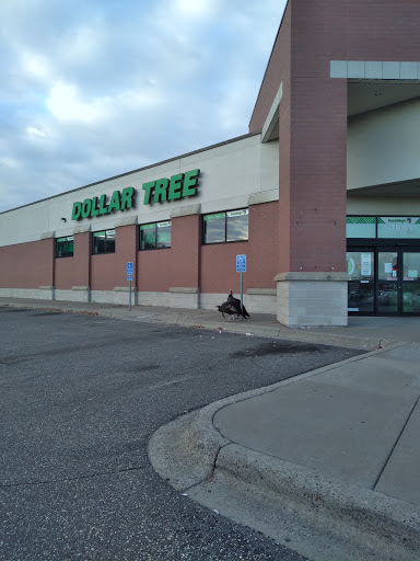 Dollar Store «Dollar Tree», reviews and photos, 8545 Edinburgh Centre Dr, Brooklyn Park, MN 55443, USA