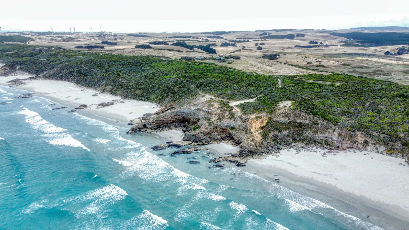 Foto von Shelly Beach, Victoria - guter haustierfreundlicher Ort für den Urlaub