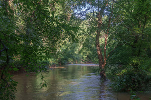 Swift Creek Greenway