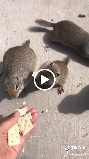 Donut Shop «Missing Hole Donut Shop», reviews and photos, 11572 Merritt St, Castroville, CA 95012, USA