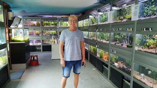 Superpet in Køge, Køge