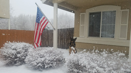 Park «Wildflower Park», reviews and photos, 980 Nolte Dr N, Colorado Springs, CO 80916, USA