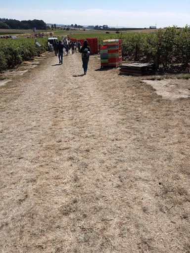 Golf Course «Quail Valley Golf Course», reviews and photos, 12565 NW Aerts Rd, Banks, OR 97106, USA