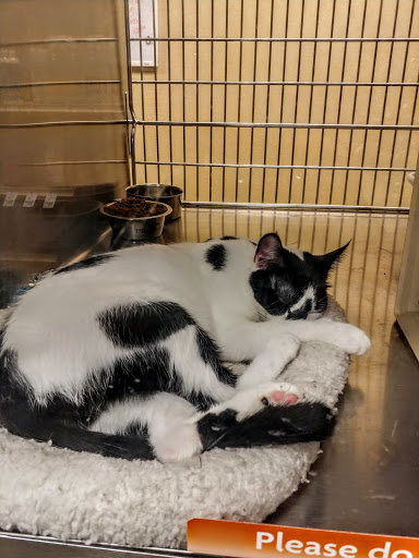 Pet Supply Store «PetSmart», reviews and photos, 16257 N Scottsdale Rd, Scottsdale, AZ 85254, USA