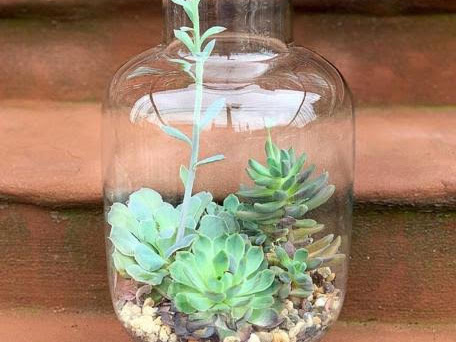 Florist «Hudson Florist», reviews and photos, 741 Bergen Ave, Jersey City, NJ 07306, USA