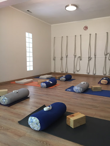 Sala de Yoga Iyengar CLASES EN LÍNEA